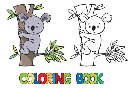 Coloring book with funny koala