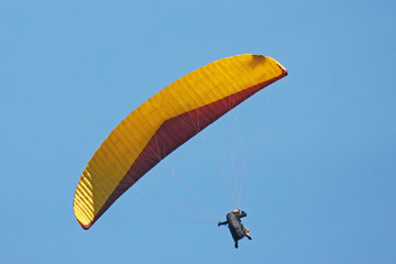 Paraglider