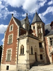 Fototapeta na wymiar Castello di Clos Luce' - Amboise, Loira - Francia
