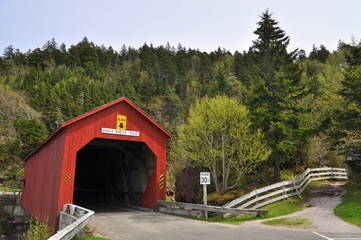 Point Wolfe in Fundy NP
