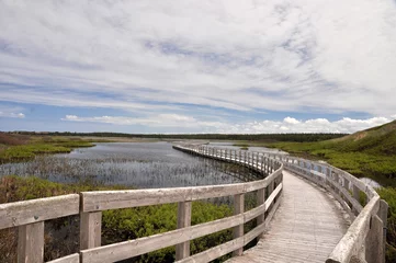 Rucksack PEI's national park © AleCam