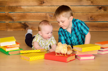 elder and younger boys with books and chicks