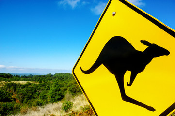 Panneau routier attention présence de kangourous en Australie