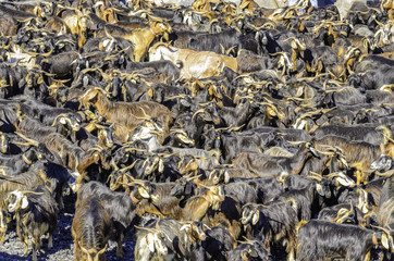 Der alte Glockenturm von La Laguna
