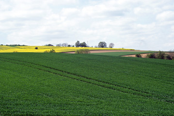 German landscape