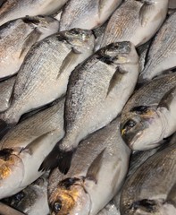 Fresh Fish for sale at a popular fish market in Fethiye,Turkey 