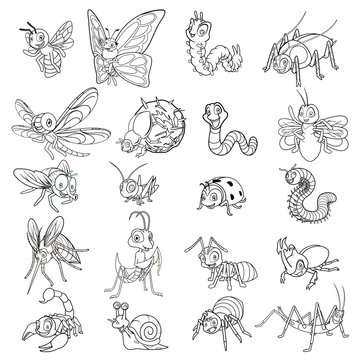 Set of Insect Cartoon Character Line Art Outlined Vector Illustration