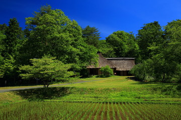 岩手県北上市　夏の民族村