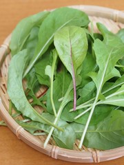家庭菜園で収穫したベビーリーフ