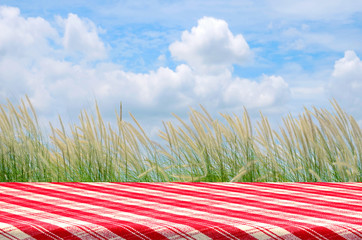Outdoor Picnic Background with Picnic Table.