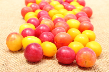 Red and yellow mirabelle on jute canvas