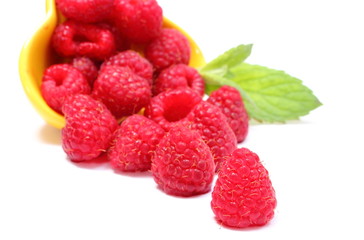 Fresh raspberries pouring out of yellow bowl. White background