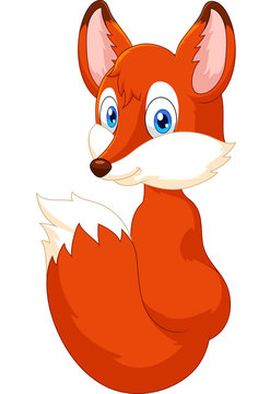 Cartoon fox look back
