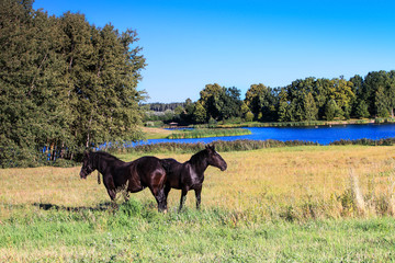 poranek na Warmii © Janusz Lipiński