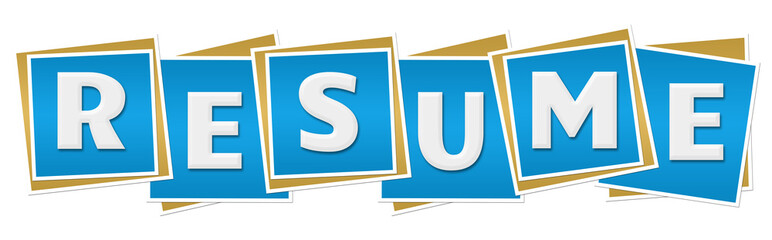 Resume Blue Blocks 