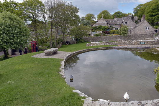 Village Pond At Worth Matravers In Dorset
