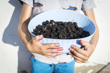 Middle section of primary school boy holding light-blue bowl half-full of blackberry 