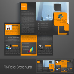 Professional Tri-Fold brochure, template or flyer for business.