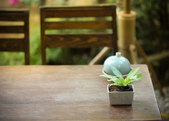 small tree in the pot plant decorated on wooden table