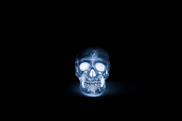 Human Skulls isolated on black. X-ray effect.