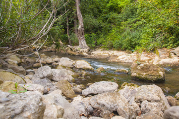 mountain creek evening