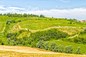 Agricultural cultivated fields in Italy
