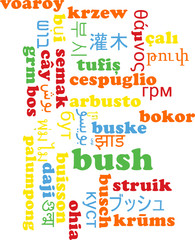 Bush multilanguage wordcloud background concept