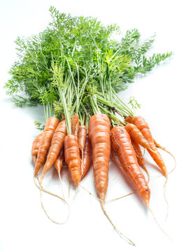 Carrots with greens on the white background.