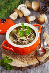 Mushroom soup