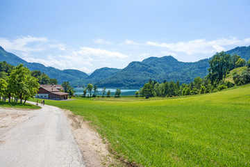 green rural landscape near the lake attersee, austria