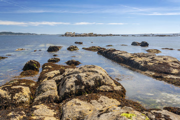 Rocky coastline