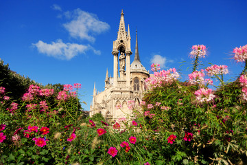 Notre Dame, Paris