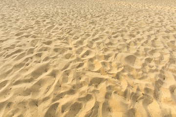 Plaża © Zbyszek Nowak