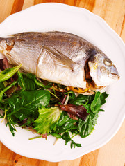 Fresh grilled Gilt-head bream