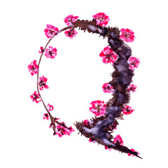 Floral alphabet. Letter Q isolated on white background. Illustration