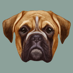 Portrait of Boxer dog. Vector