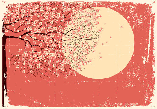 Flowing Sakura tree.Grunge image