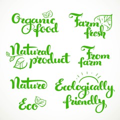 Fresh food and ecologically friendly green calligraphic inscript
