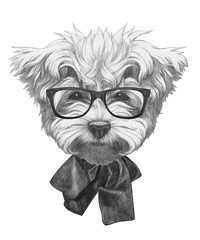 Portrait of Maltese Poodle with glasses and bow. Vector isolated elements.