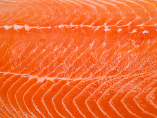 Salmon Steak Background