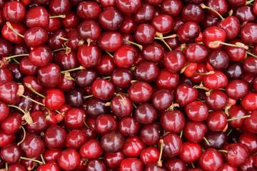 red cherries fruit
