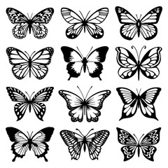 Butterfly Vector Set - obrazy, fototapety, plakaty