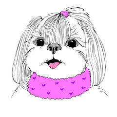 fashion portrait of doggy girl in pink, hand drawn vector