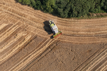 aerial view of combine on the harvest field