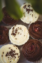 Chocolate and white chocolate cupcakes 