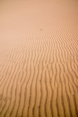 Deserto danese