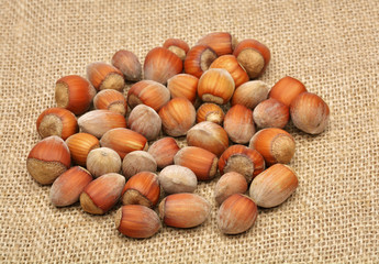 Hazelnuts on old canvas