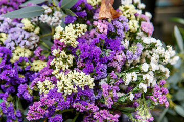 Obraz premium dry flowers group vintage style