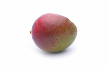Mango fruit on white background