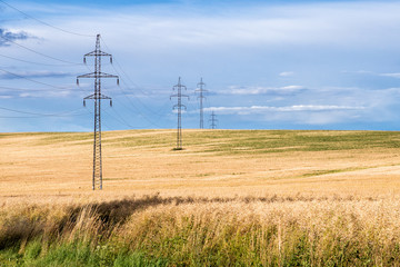 High voltage line with electricity pylons surrounded by cultivated fields

